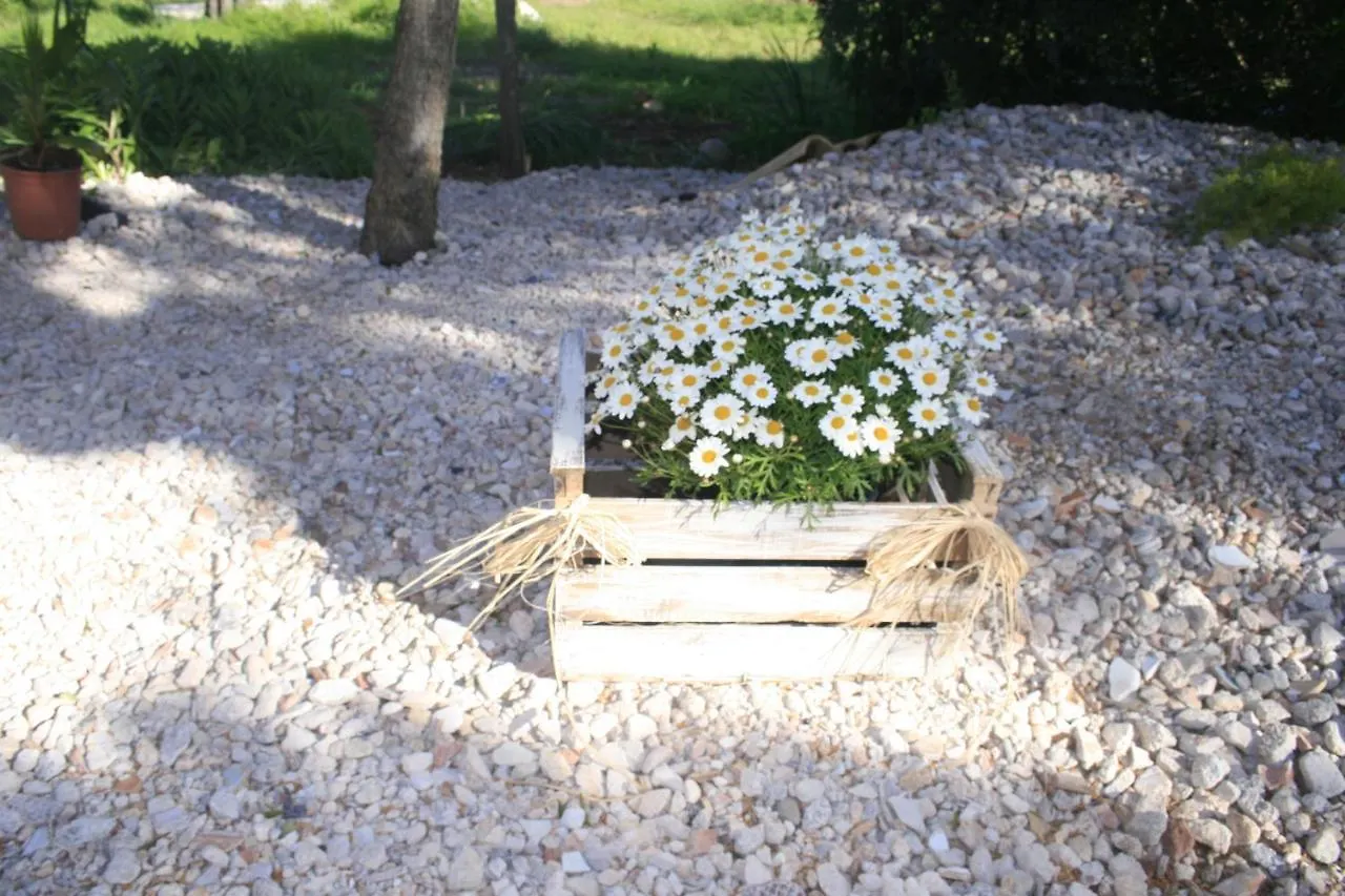 Sweet House Villa Santa Margalida Holiday home
